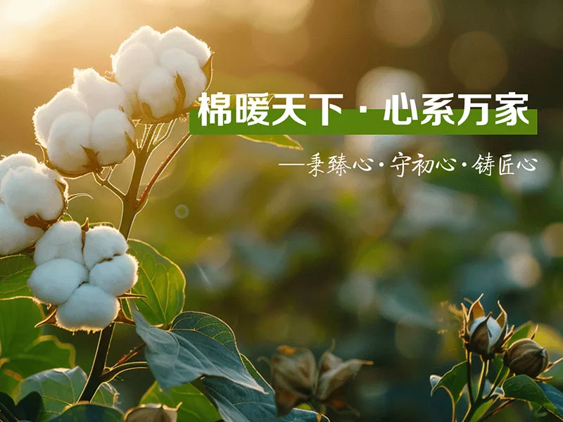 网站案例建设