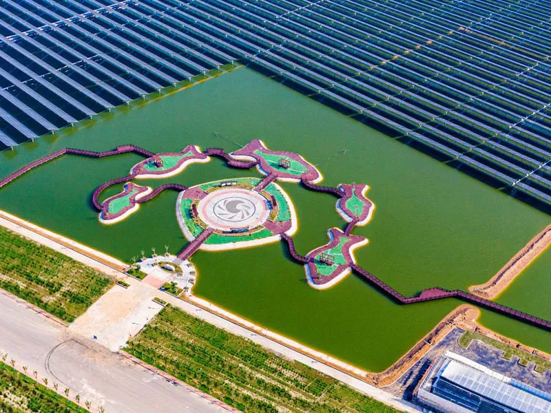 网站案例建设
